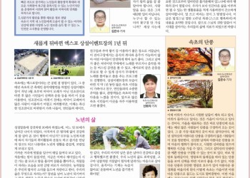 2020년 강원도노인복지증진사업 'Silver Reporter' 1차 자체 소식지 제작 이미지