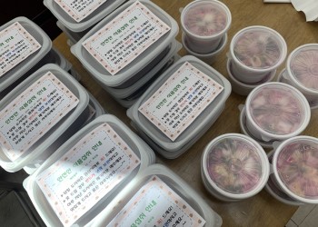 동지팥죽 도시락을 준비했습니다! 이미지