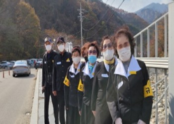 노인맞춤돌봄서비스 문화활동(나들이) 진행 이미지