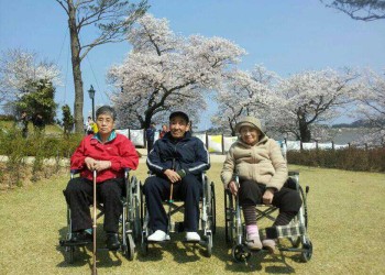 속초시효재가노인복지센터 봄나들이 이미지