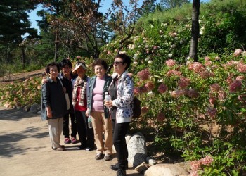달달한파티 체험학습 이미지