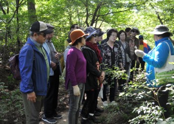 노인부부관계개선프로그램 9회말2아웃 9회차 프로그램 실시 이미지