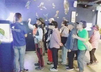 아산사회복지재단지원  '위기탈출시니어원' 봉사자 지지, 격려 프로그램 실시!! 이미지